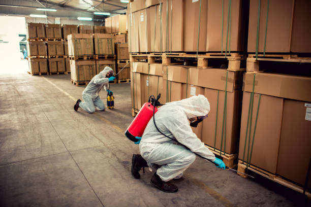 Best Mosquito Control Services  in Holt, AL