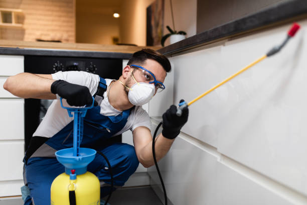 Best Bed Bug Extermination  in Holt, AL