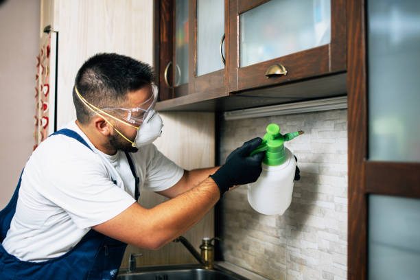 Best Termite Control Services  in Holt, AL