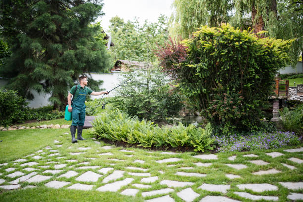 Best Affordable Pest Control Services  in Holt, AL