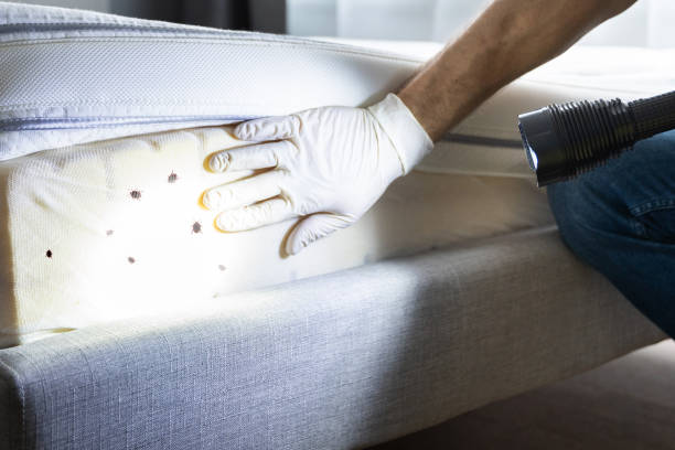 Best Commercial Pest Control Services  in Holt, AL